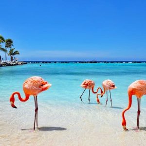 ARUBA