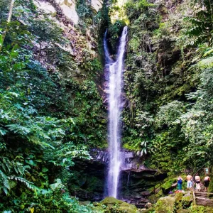 Expedición Tarapoto