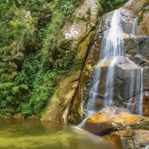 Expedición Tarapoto